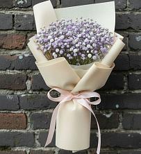 Букет цветов из:  Гипсофила в Горшково