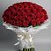 Букет 101 Красная роза Блэк Мэджик в Горшково