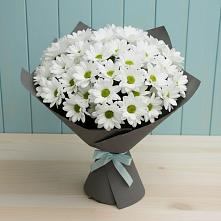 Букет цветов из:  Хризантемы #REPLACE_PRED# Горшково