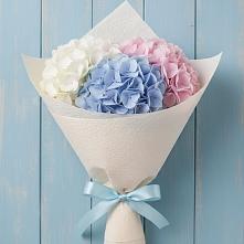 Букет цветов из:  Гортензия в Горшково
