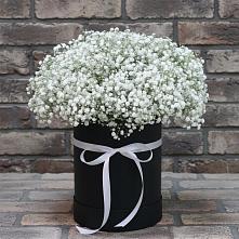 Цветочная композиция из Гипсофила в шляпной коробке в Горшково