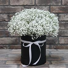 Цветочная композиция из Гипсофила в шляпной коробке в Горшково