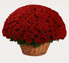 Премиум букет из: Розы в Горшково